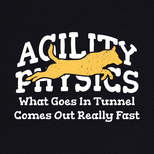 Agility Physics What Goes In Tunnel Comes Out Really Fast by maxcode